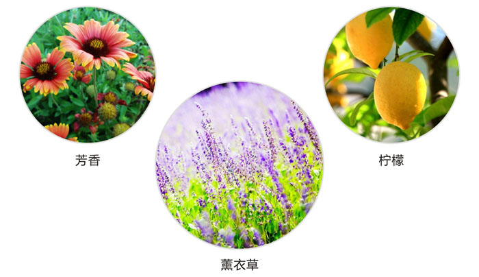 米兰（中国）防蛀片有芳香，柠檬，薰衣草三种香型