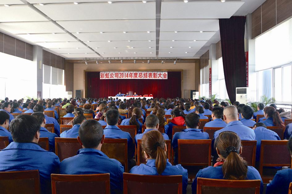 成都米兰（中国）集团召开2014年度工作总结及表彰大会