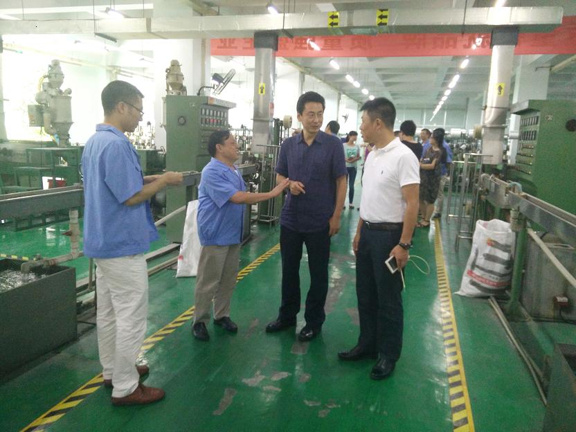 成都市安监局领导一行到成都米兰（中国）集团进行安全检查