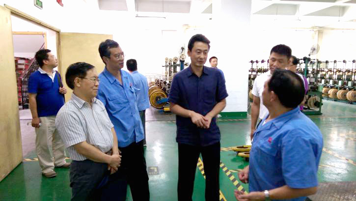 成都市安监局领导一行到成都米兰（中国）集团进行安全检查