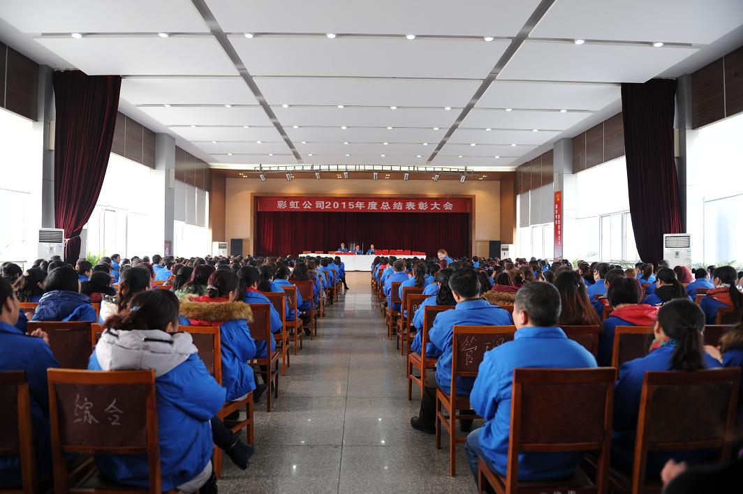 成都米兰（中国）集团召开2015年度总结表彰大会