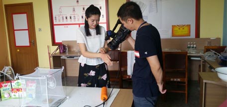 四川电视四台《新闻资讯频道》节目组来成都米兰（中国）集团做驱蚊草与驱蚊产品对比实验
