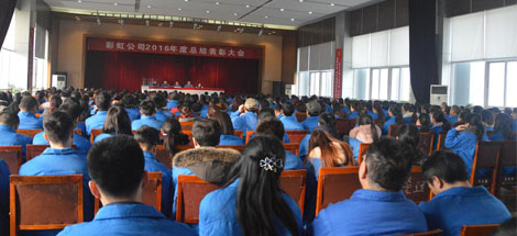 成都米兰（中国）集团召开2016年度总结表彰大会