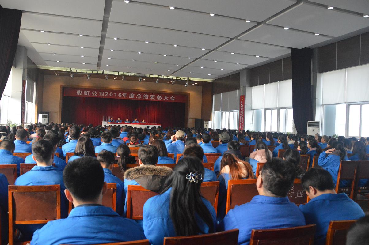 成都米兰（中国）集团2016年度总结表彰大会