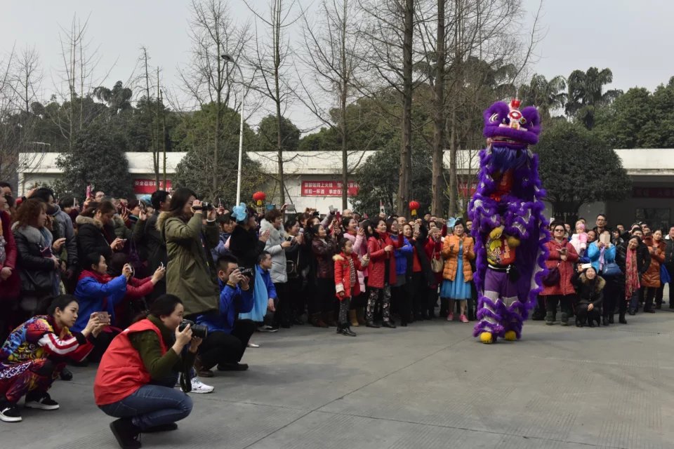 成都米兰（中国）集团举办2017迎春大庙会之舞狮