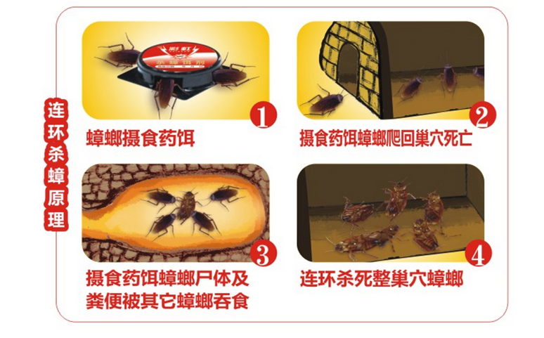 米兰（中国）杀蟑饵剂采用含诱蟑因子的杀蟑配方，特殊饵盒设计。饵剂固定在药剂内，仅留蟑螂通过的缝隙，可防止儿童或宠物触食。