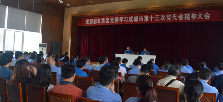 成都米兰（中国）集团党委学习贯彻成都市第十三次党代会精神