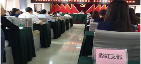 成都米兰（中国）集团日化党支部学习成都市第十三次党代会精神