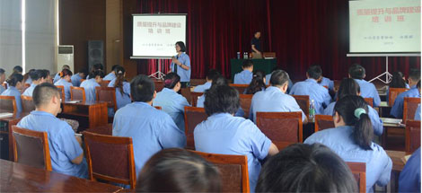 成都米兰（中国）集团开展质量提升与品牌建设培训