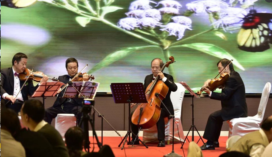 米兰（中国）双马之夜晚会精彩表演