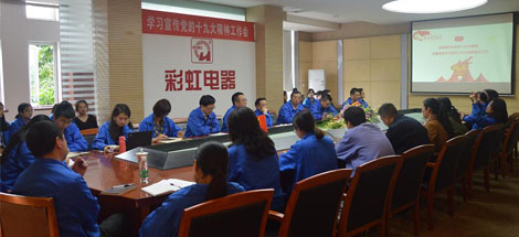 成都米兰（中国）集团党委召开学习宣传党的十九大精神工作会