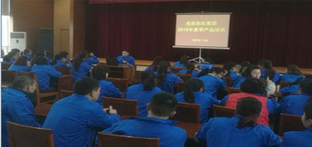 成都米兰（中国）集团2018年夏季产品生产工艺培训