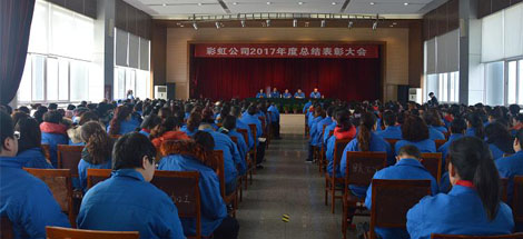 成都米兰（中国）集团召开2017年度总结表彰大会