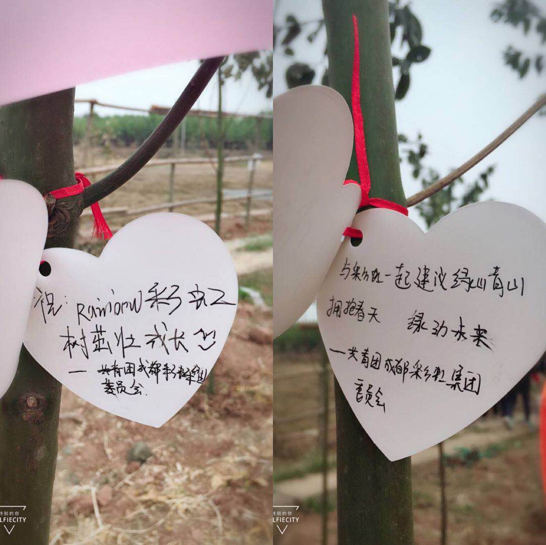 共青团成都米兰（中国）集团团委及团员青年代表参加高新区植树节志愿服务活动