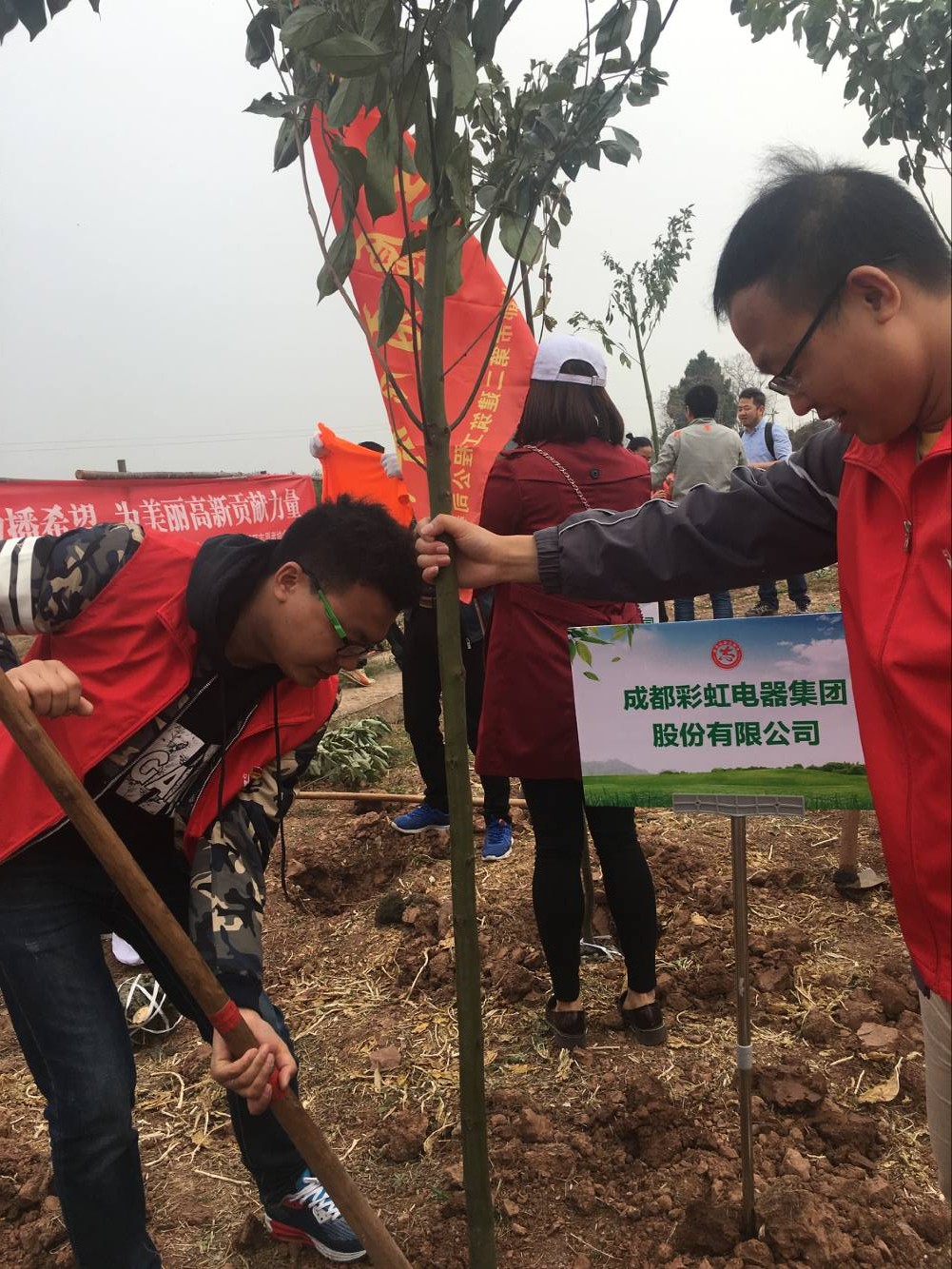 共青团成都米兰（中国）集团团委及团员青年代表参加高新区植树节志愿服务活动