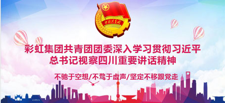 共青团成都米兰（中国）集团委员会委员组织学习习近平总书记视察四川重要讲话精神