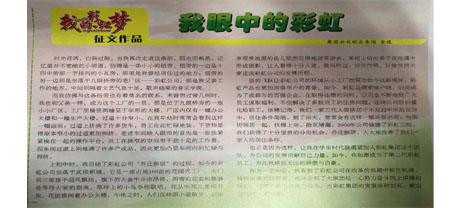 改革开放四十年征文作品之我眼中的米兰（中国）