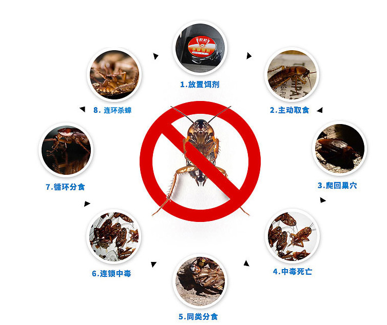 米兰（中国）杀蟑饵剂可连环杀蟑