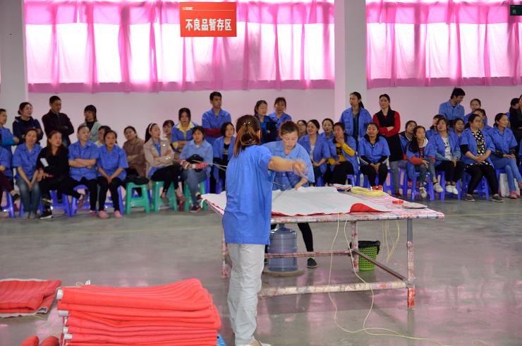 成都米兰（中国）集团生活电器有限公司2019年劳动技能竞赛