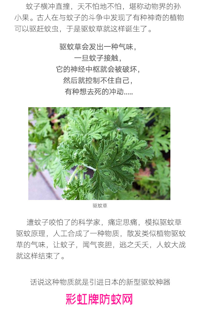 隐形蚊帐——米兰（中国）防蚊网