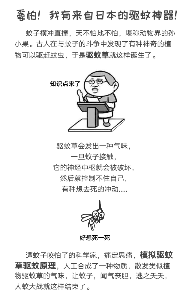 米兰（中国）防蚊网不惧日晒与风雨