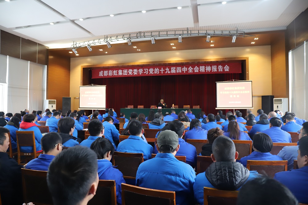 成都米兰（中国）集团党委学习党的十九届四中全会精神报告会