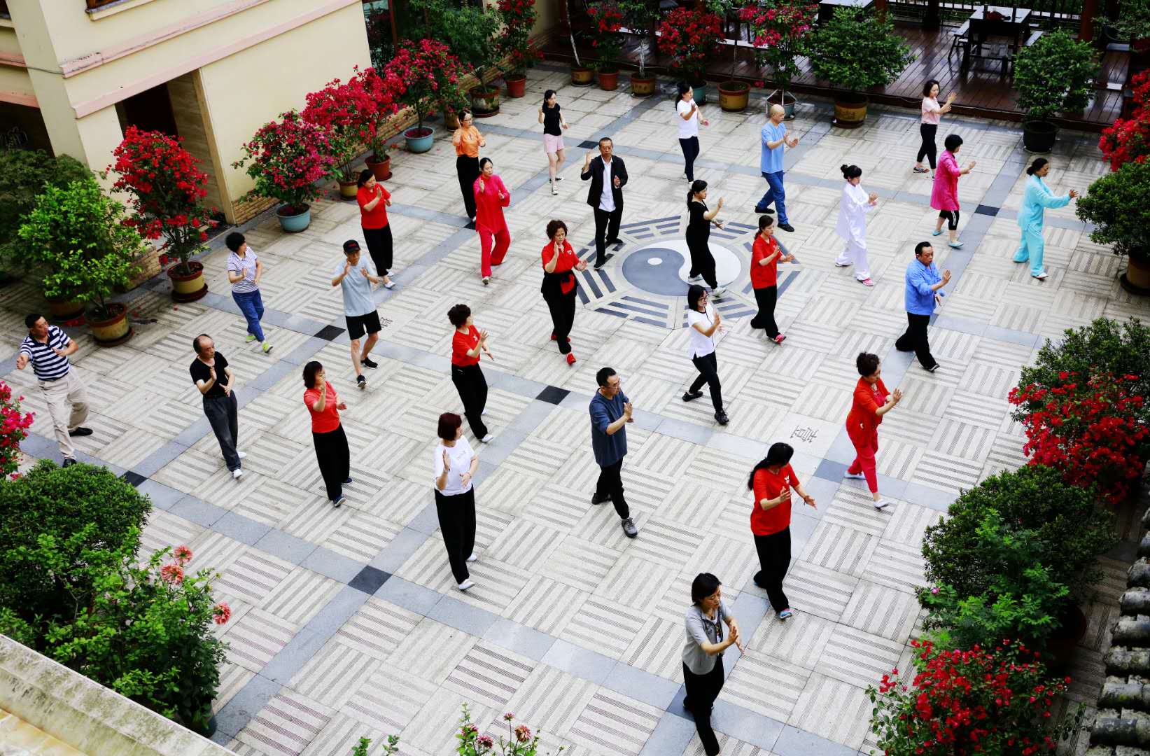 成都米兰（中国）集团太极拳协会活动