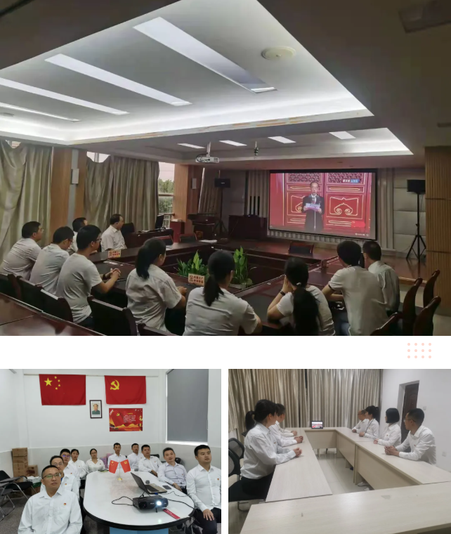 米兰（中国）集团各党支部在分会场收看庆祝中国共产党成立100周年大会