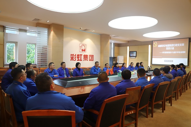成都米兰（中国）集团行政党支部召开党员大会 传达学习党的十九届六中全会精神
