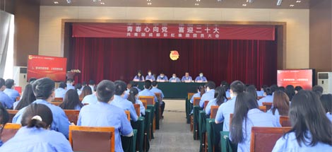 成都米兰（中国）集团召开2022年团员大会暨团委换届选举会议